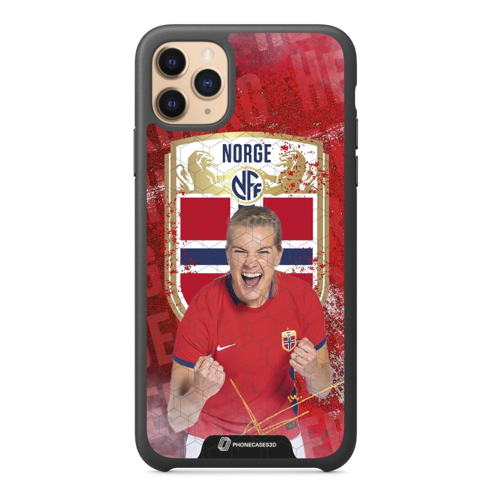 NFF - Hegerberg Norge 3D...