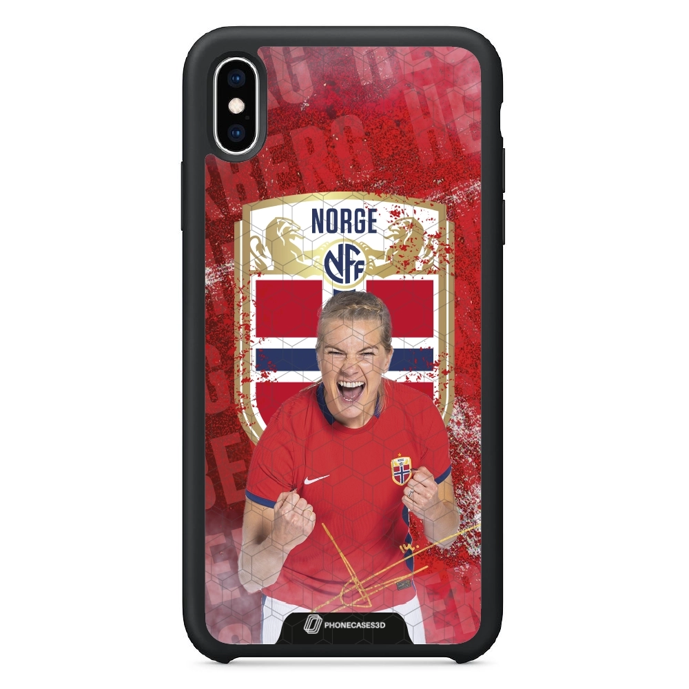 NFF - Hegerberg Norge 3D...
