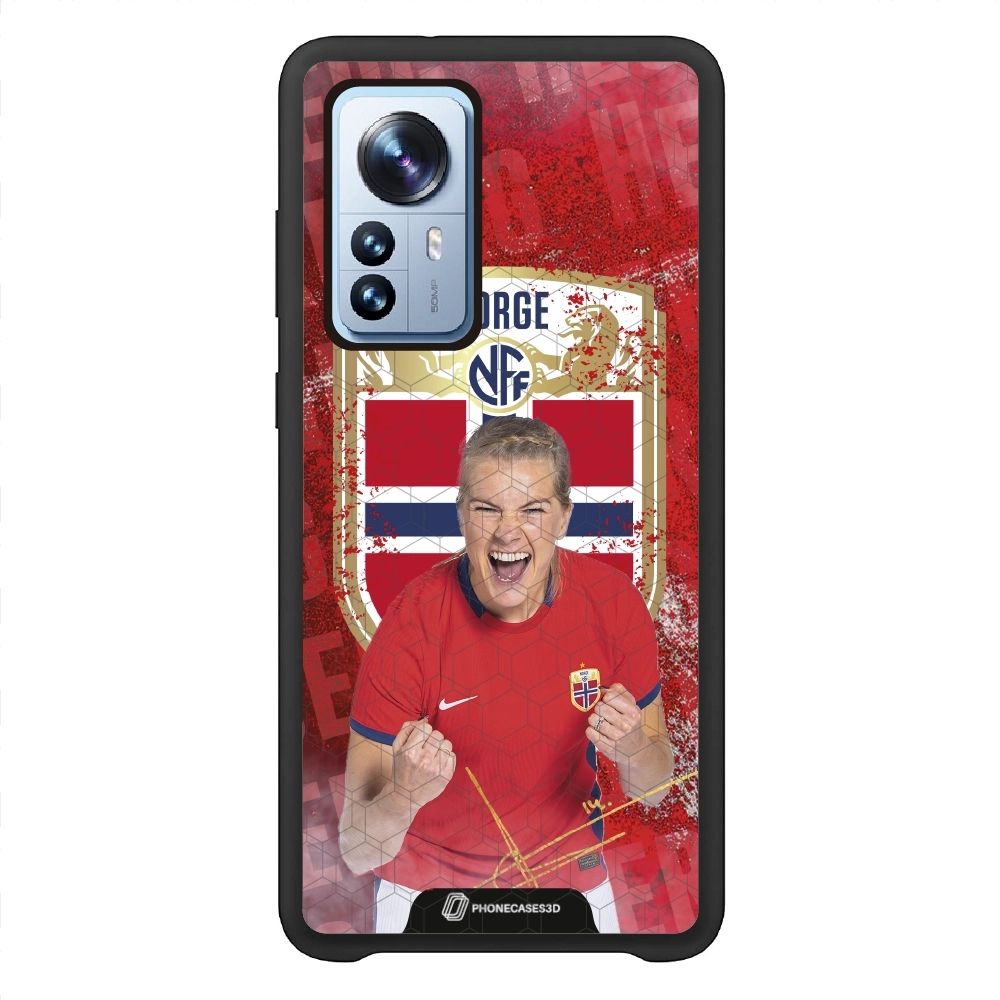 NFF - Hegerberg Norge 3D...