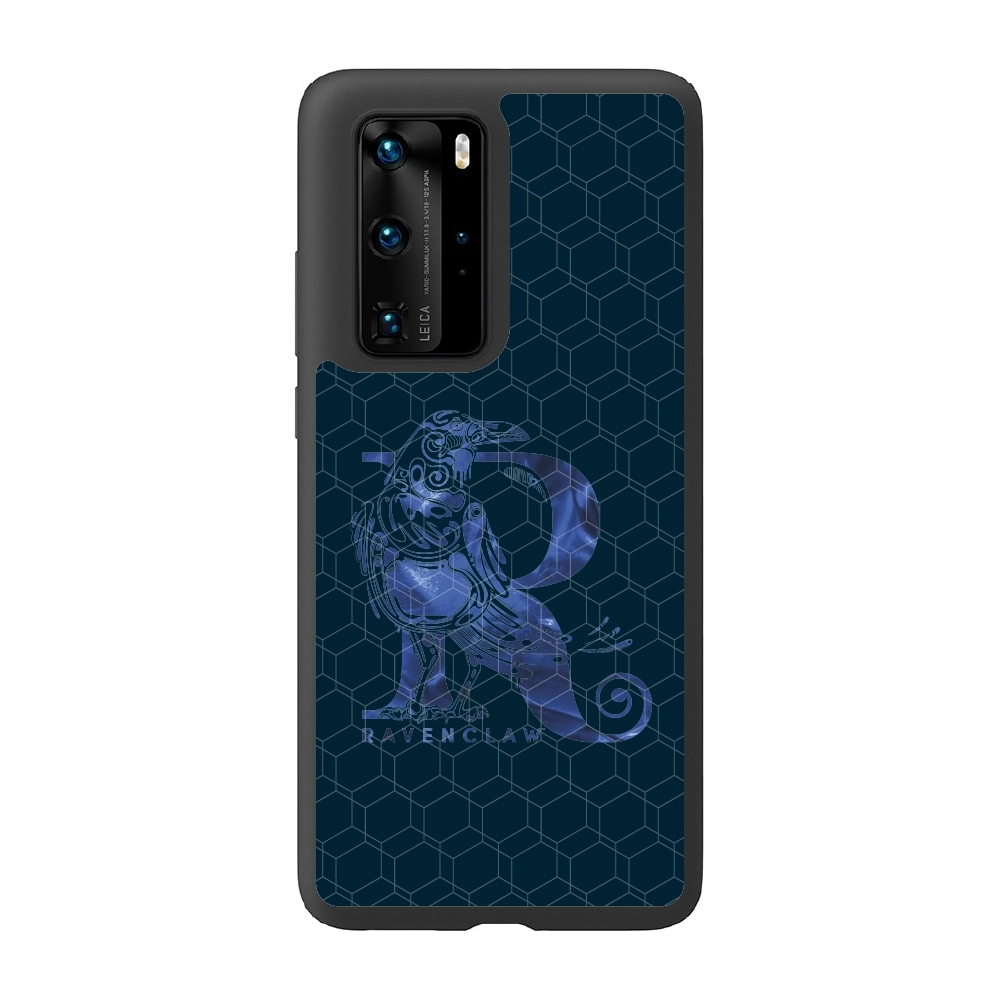 Harry Potter Ravenclaw...