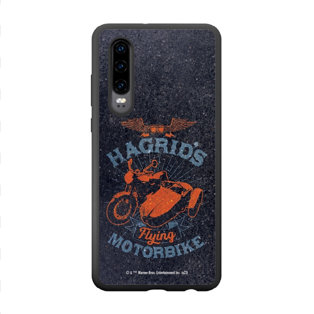 Harry Potter Hagrid's...