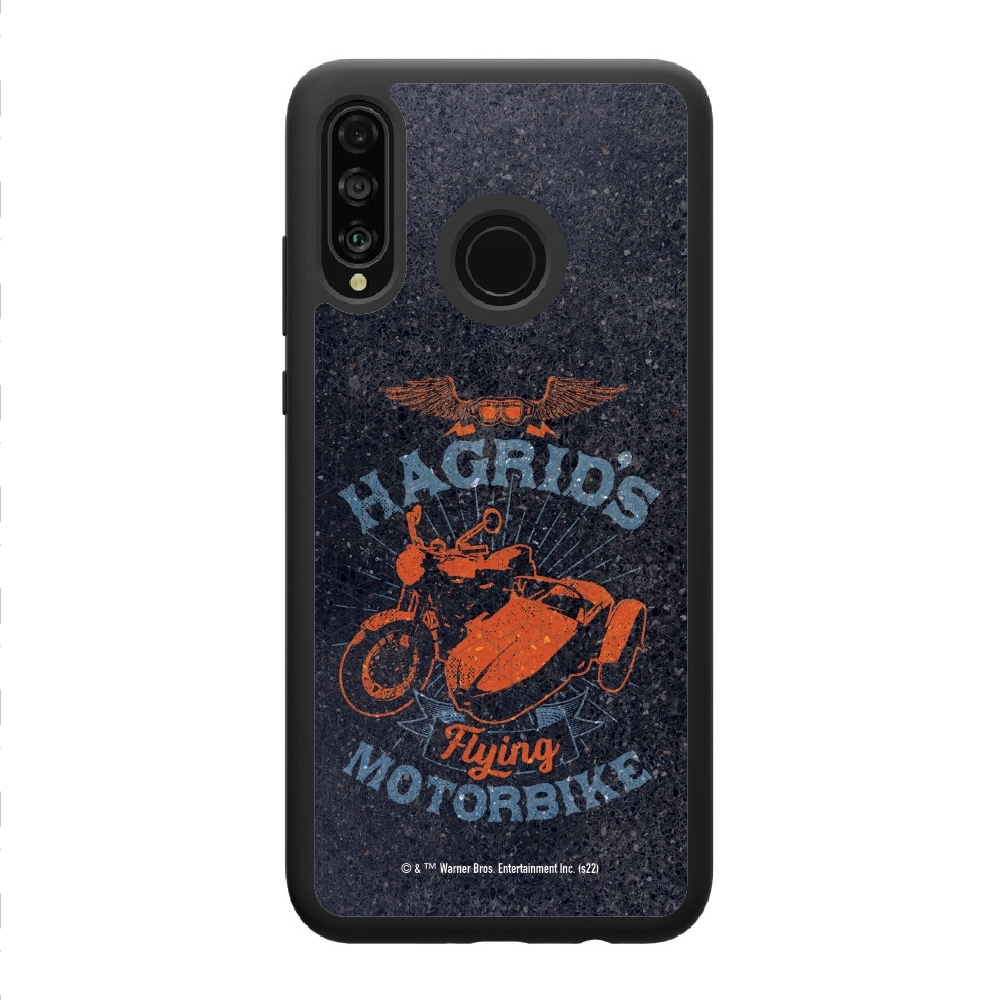 Harry Potter Hagrid's...