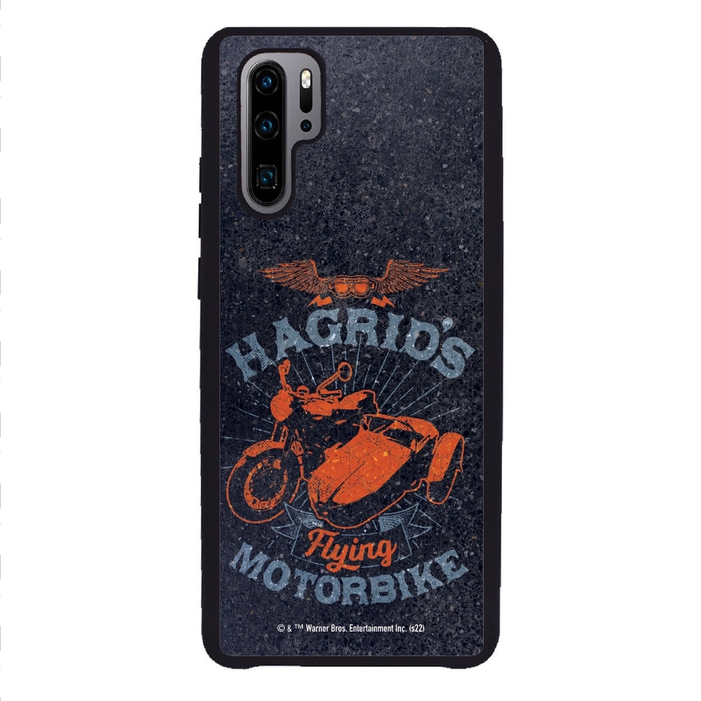 Harry Potter Hagrid's...