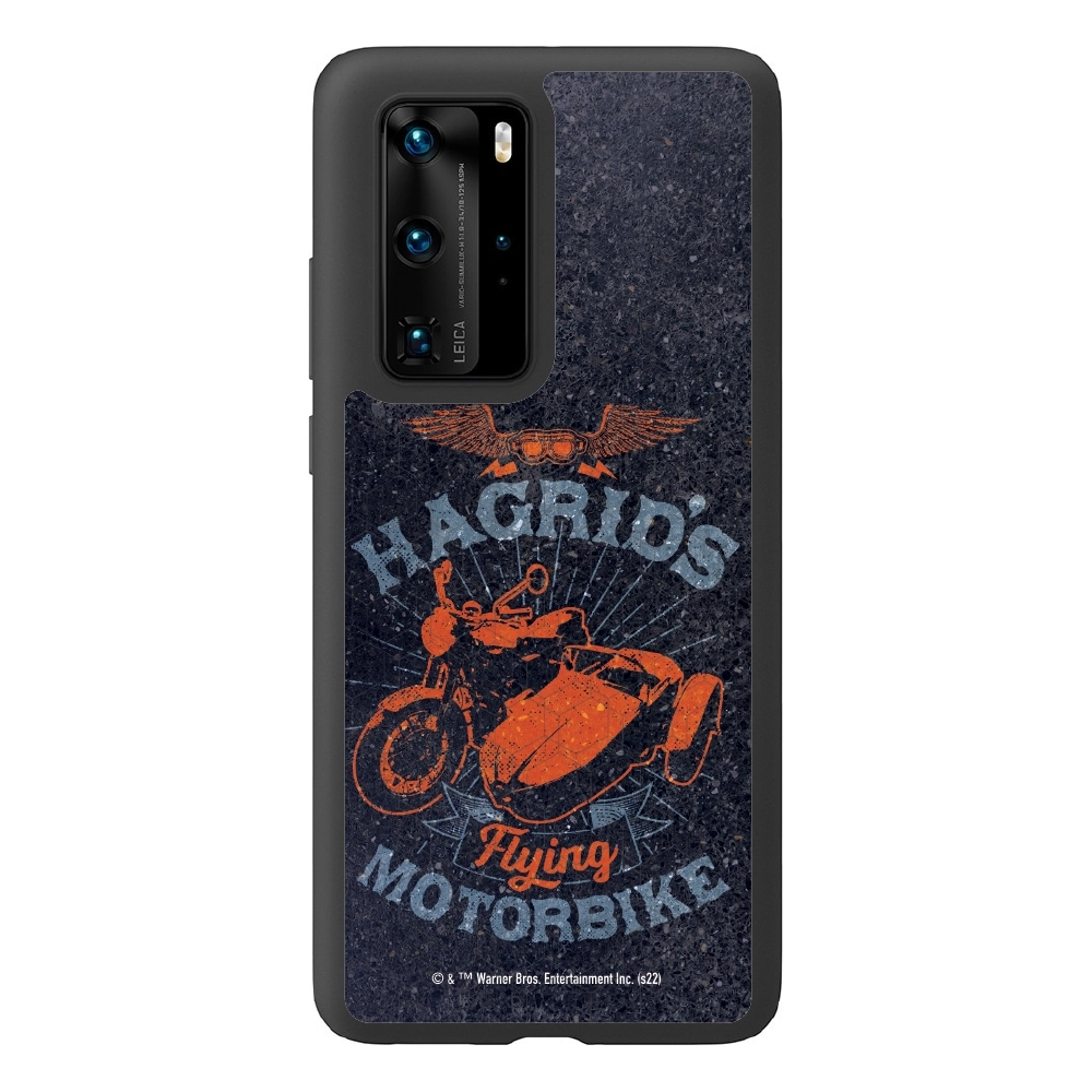 Harry Potter Hagrid's...