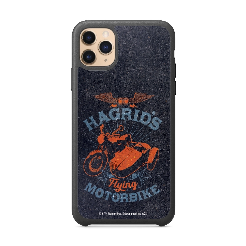 Harry Potter Hagrid's...