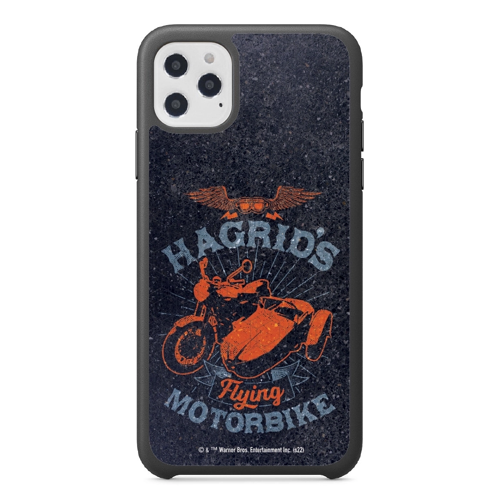 Harry Potter Hagrid's...
