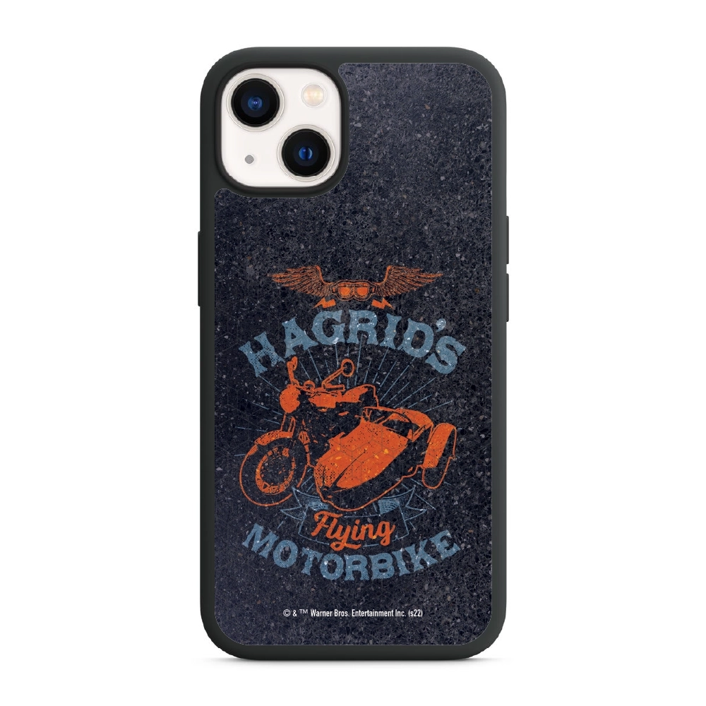 Harry Potter Hagrid's...