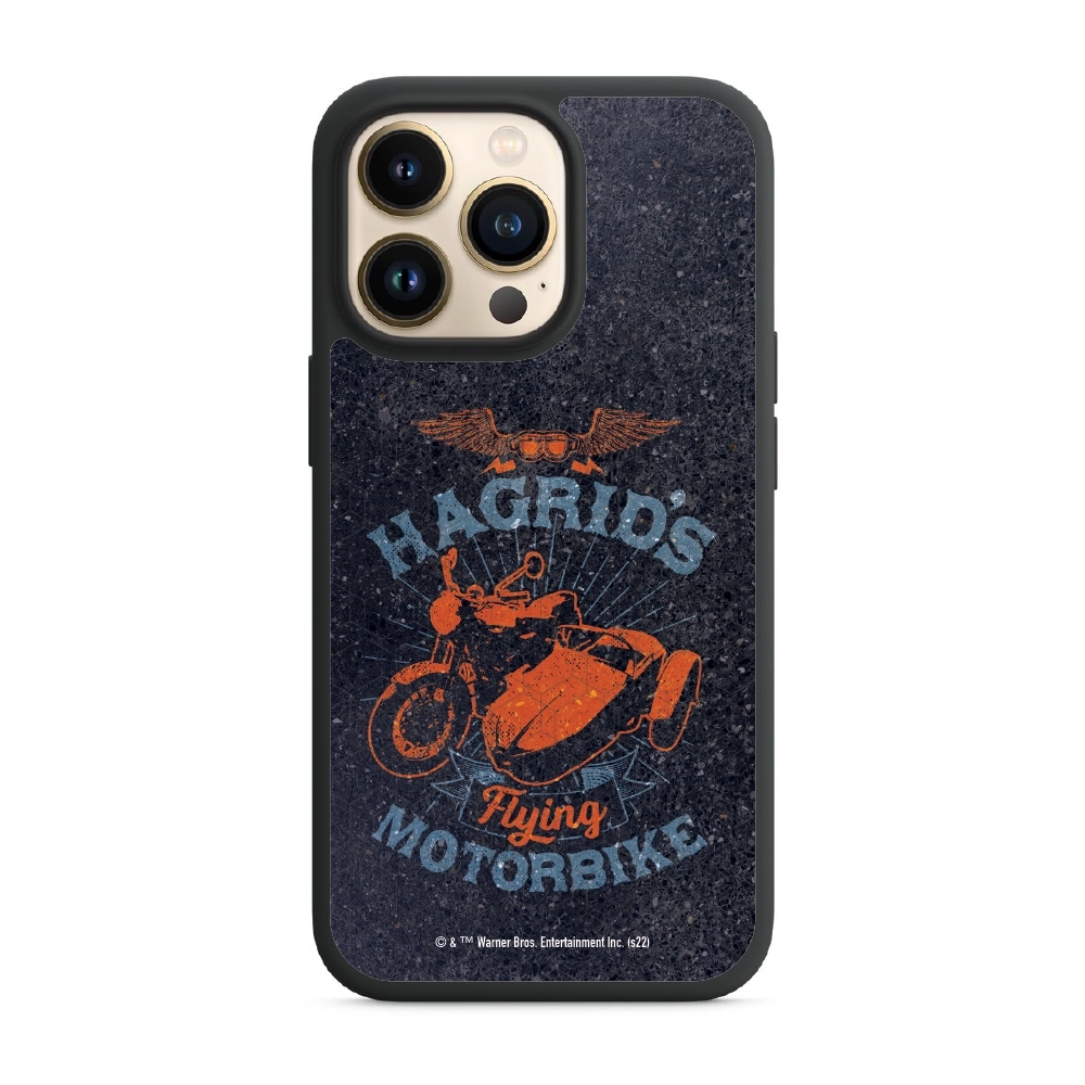 Harry Potter Hagrid's...