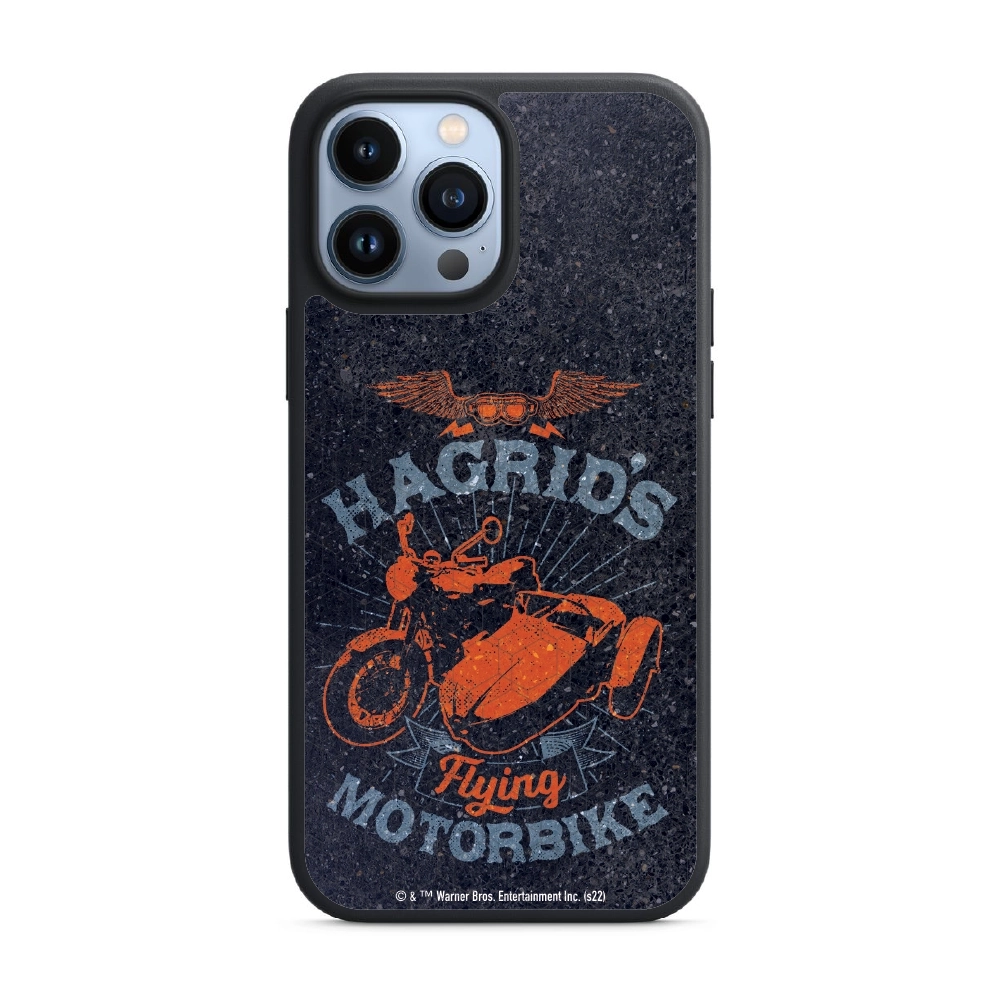 Harry Potter Hagrid's...