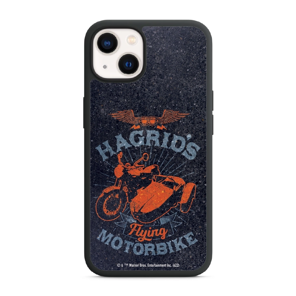 Harry Potter Hagrid's...