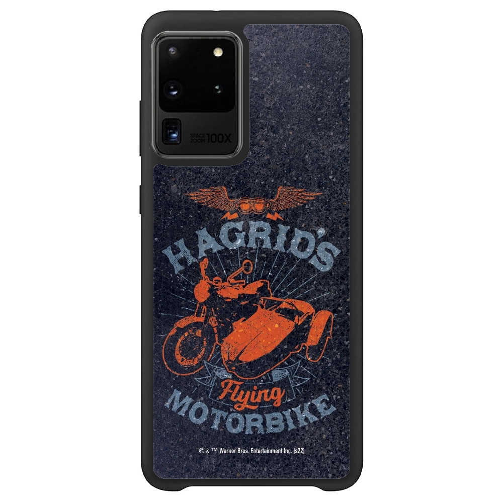 Harry Potter Hagrid's...