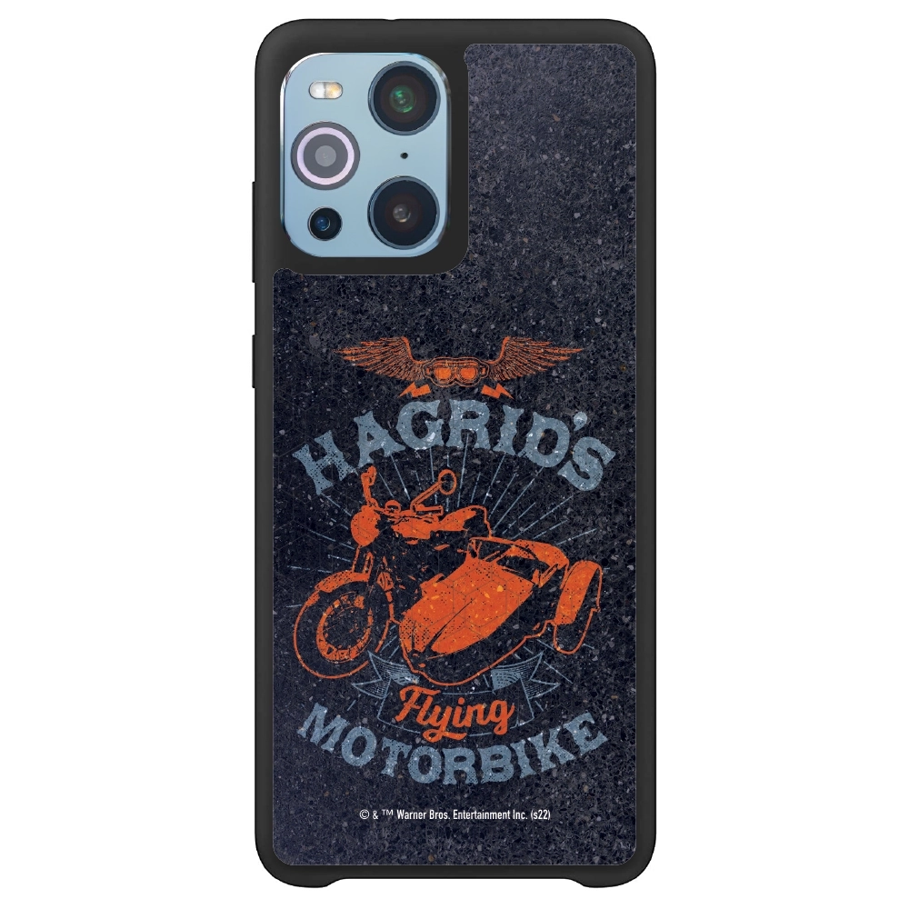 Harry Potter Hagrid's...