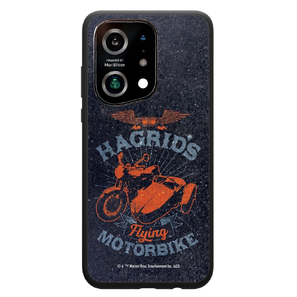 Harry Potter Hagrid's...