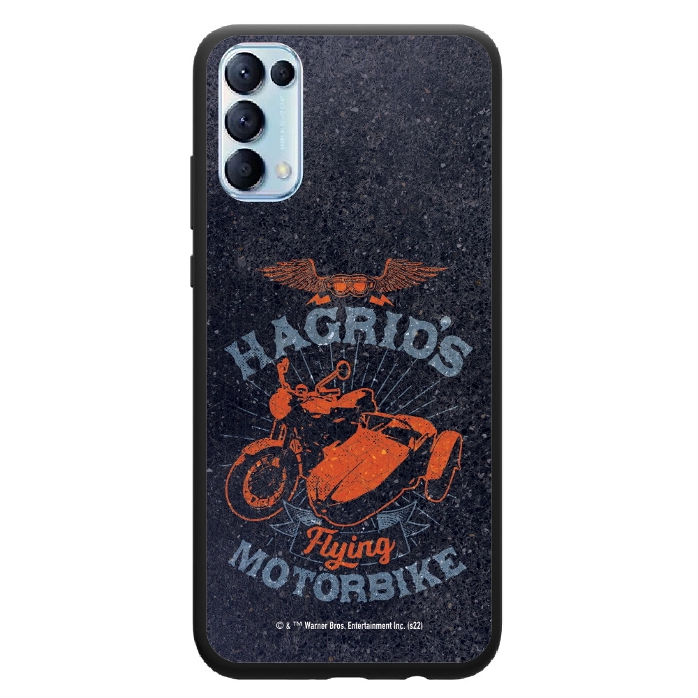 Harry Potter Hagrid's...