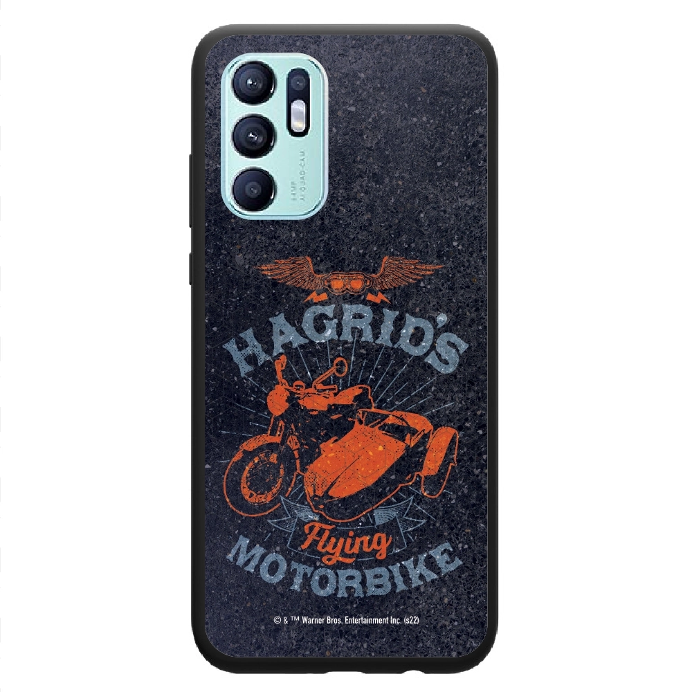 Harry Potter Hagrid's...