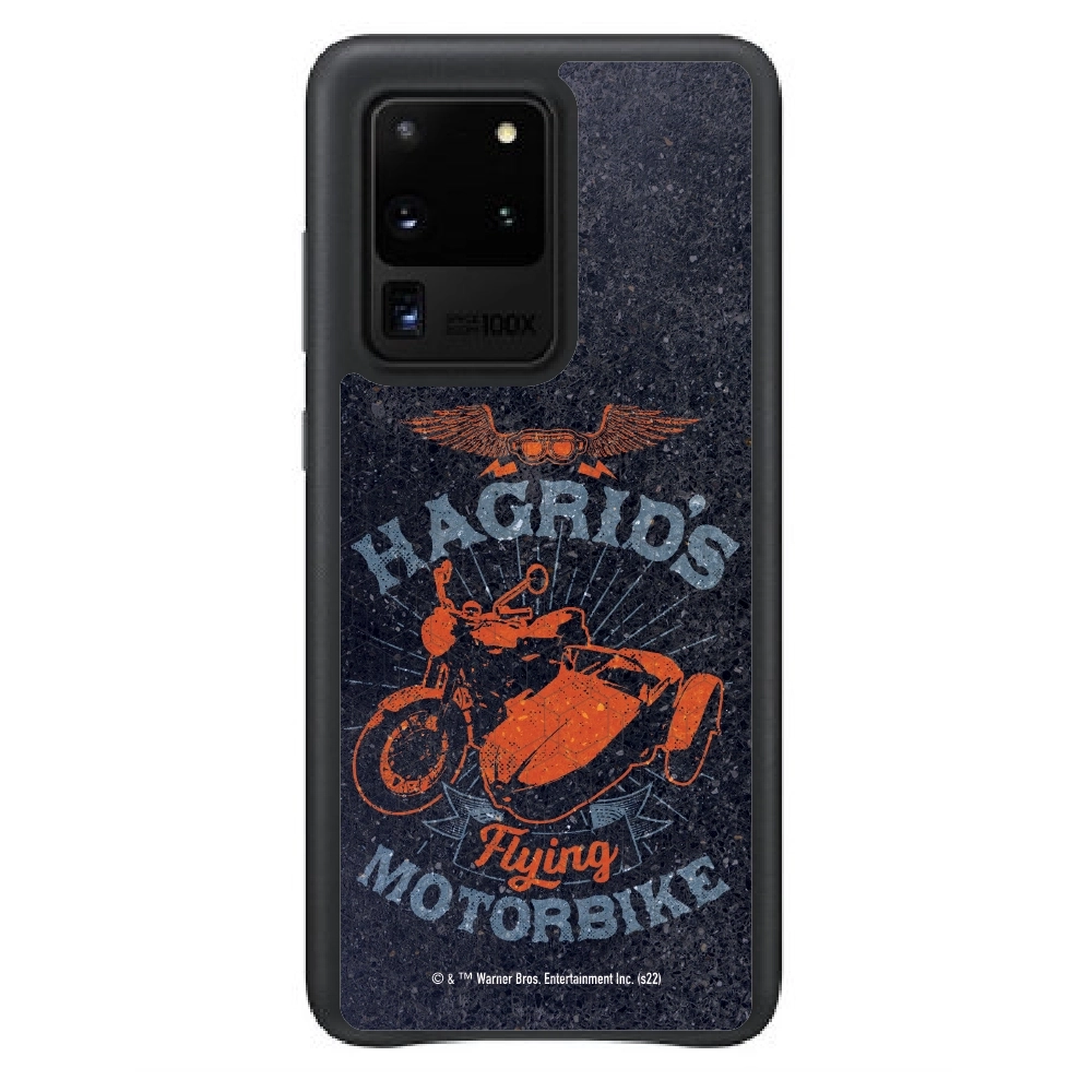 Harry Potter Hagrid's...