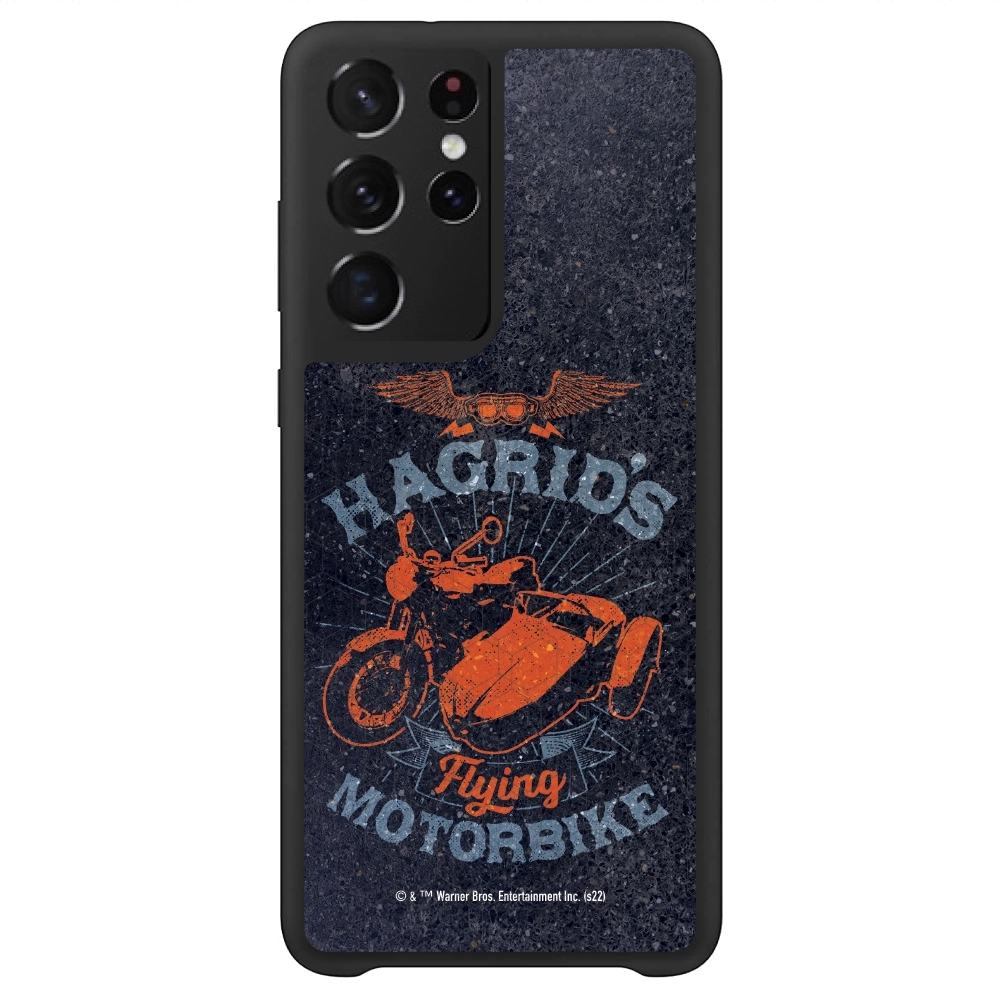 Harry Potter Hagrid's...