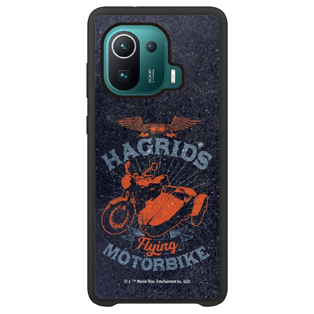 Harry Potter Hagrid's...