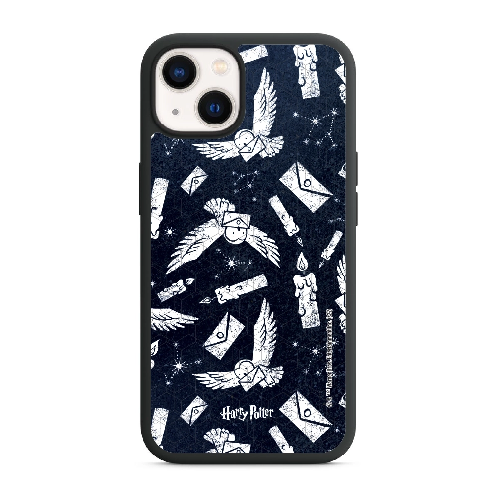 Harry Potter Hedwig Mail...