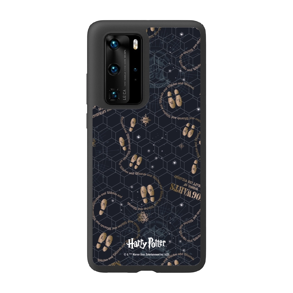 Harry Potter Hogwarts...