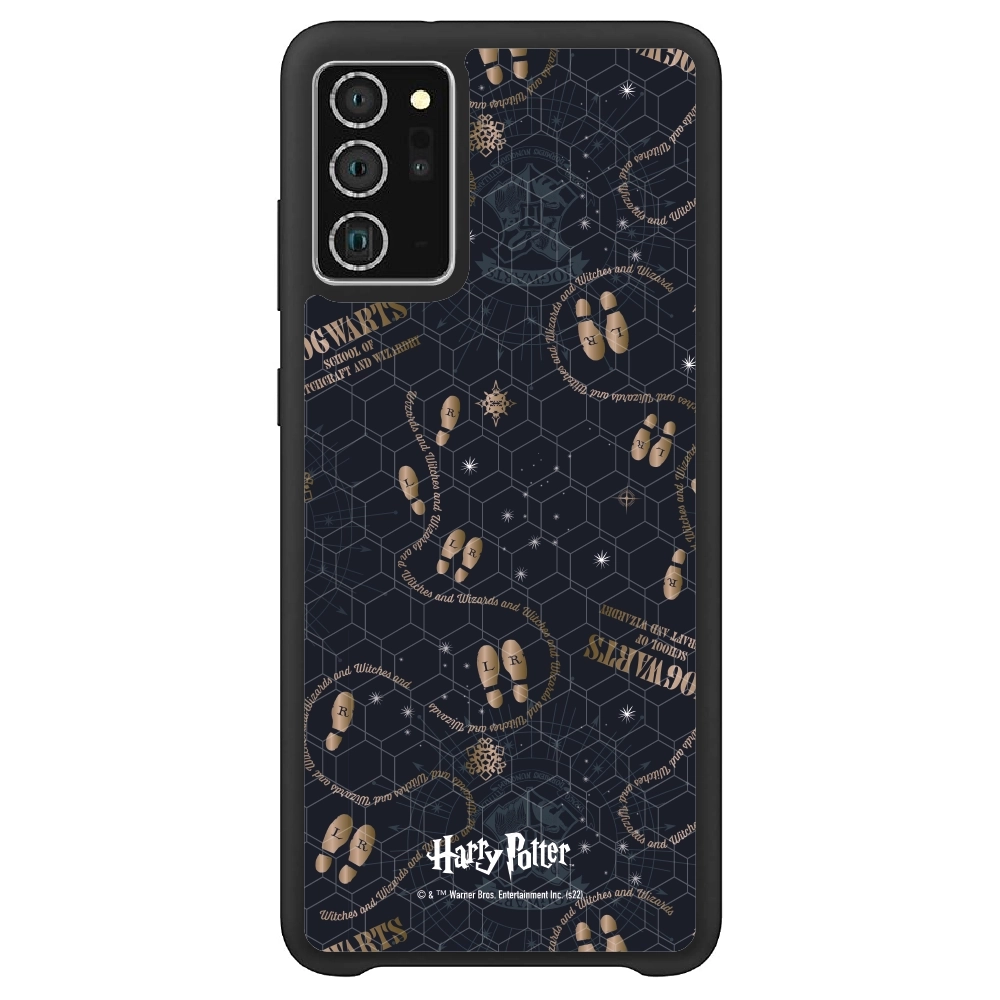 Harry Potter Hogwarts...