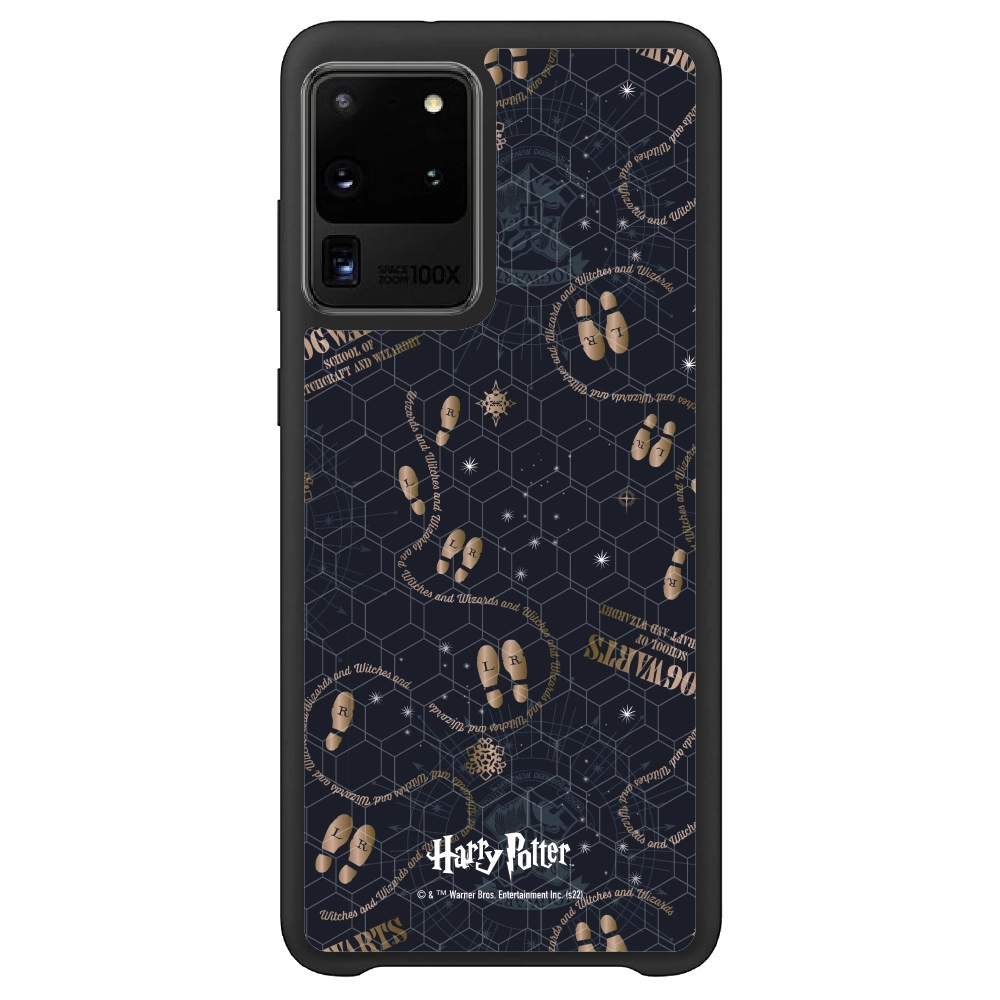 Harry Potter Hogwarts...