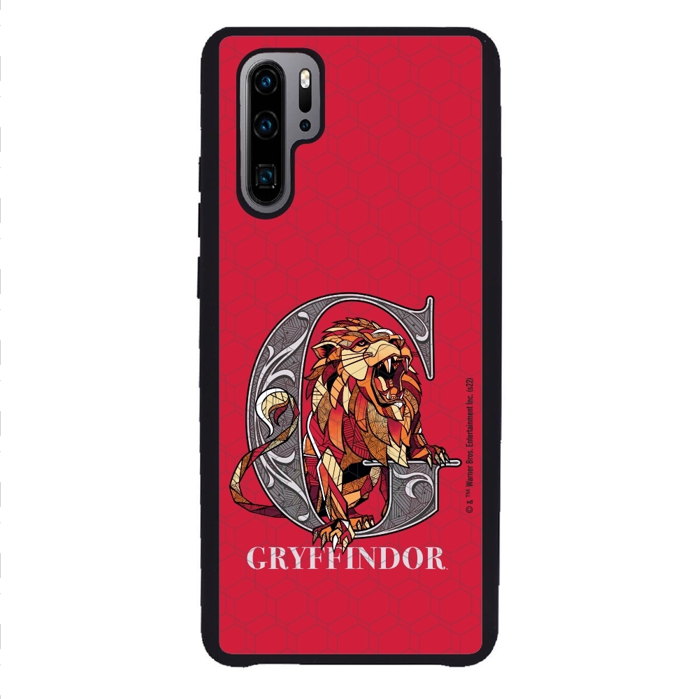 Harry Potter Gryffindor 3...