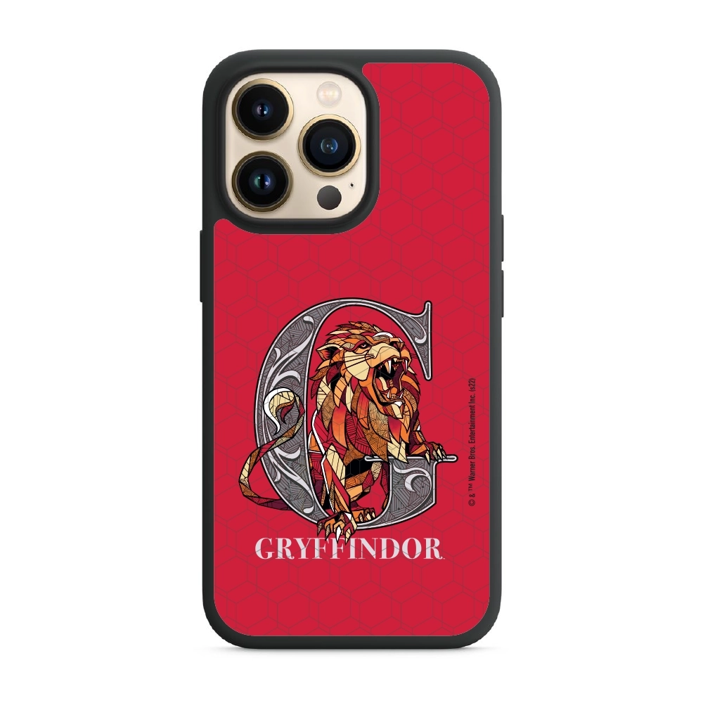 Harry Potter Gryffindor 3...
