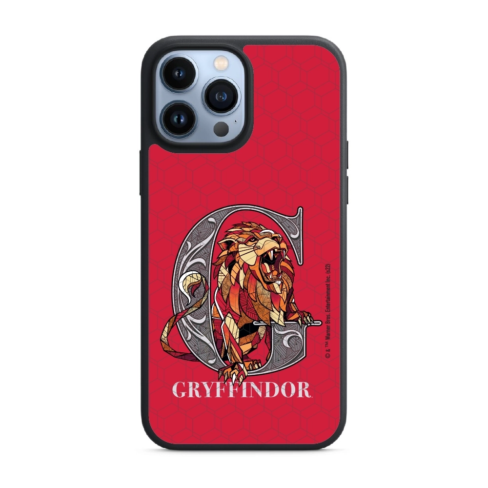 Harry Potter Gryffindor 3...