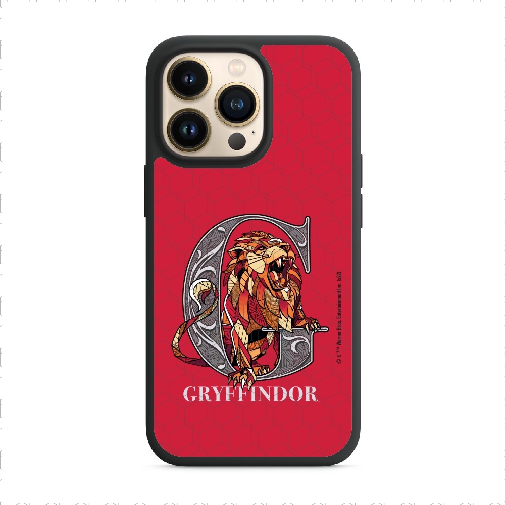 Harry Potter Gryffindor 3...