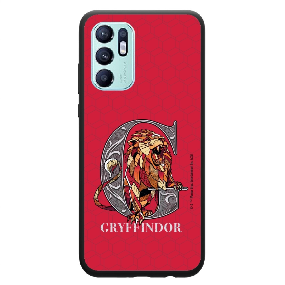 Harry Potter Gryffindor 3...