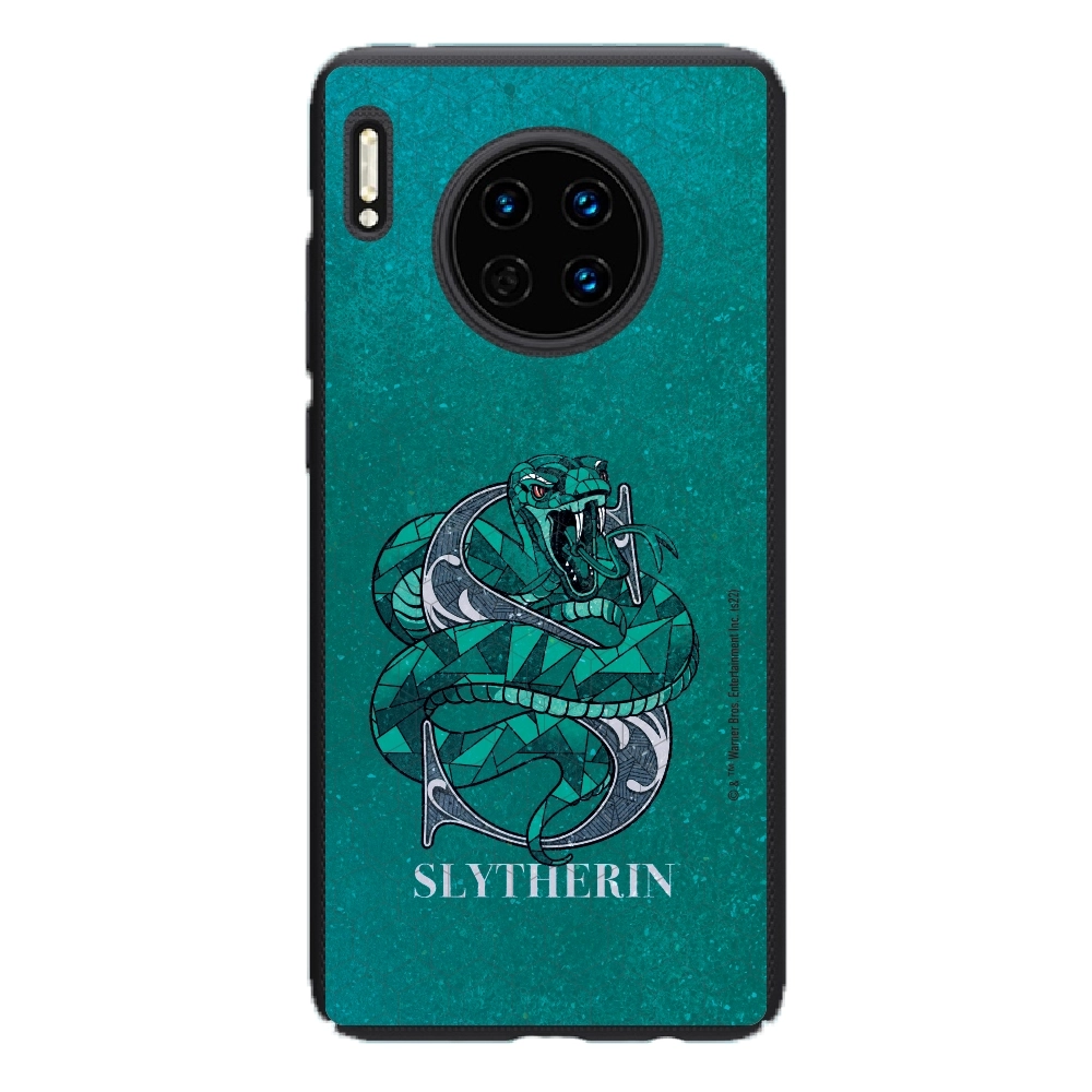 Harry Potter Slytherin 3...