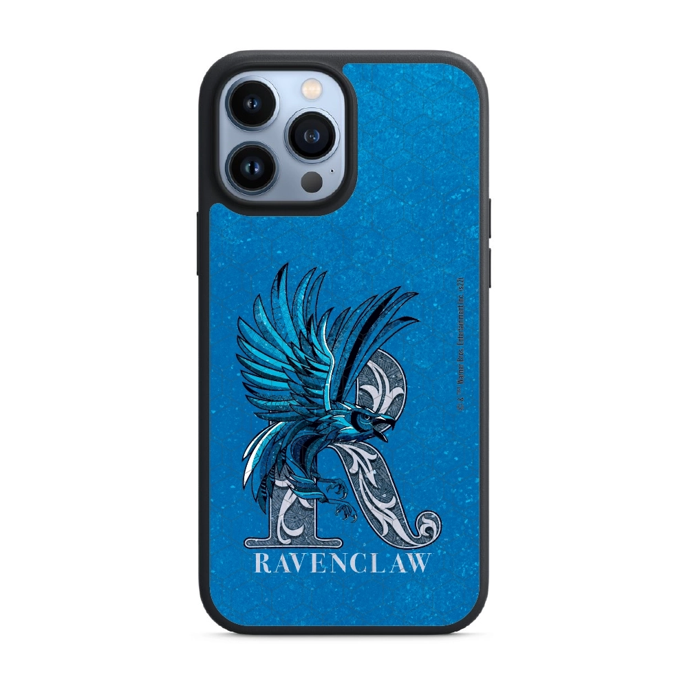 Harry Potter Ravenclaw 3...