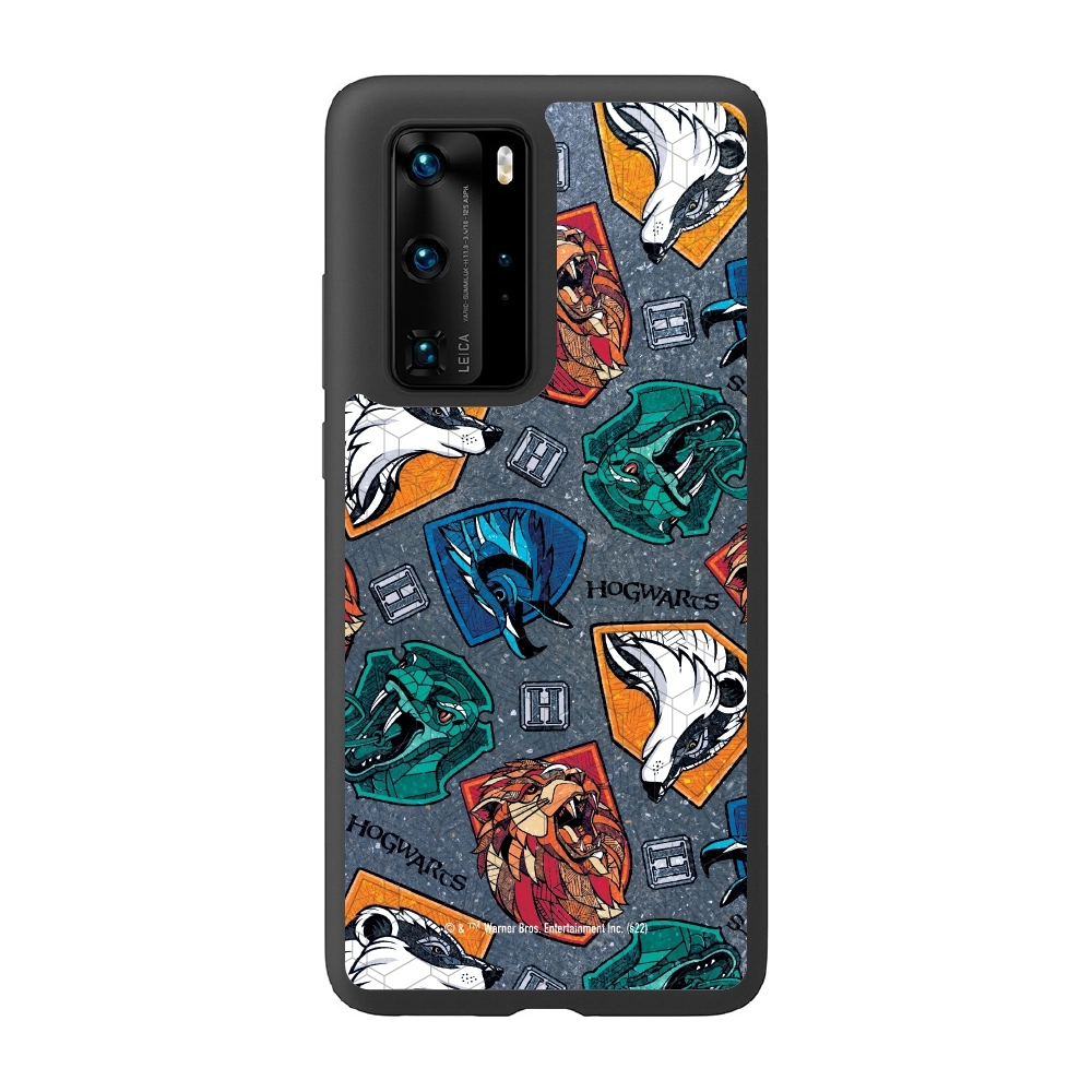 Harry Potter houses 2