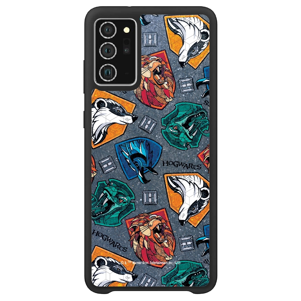 Harry Potter houses 2