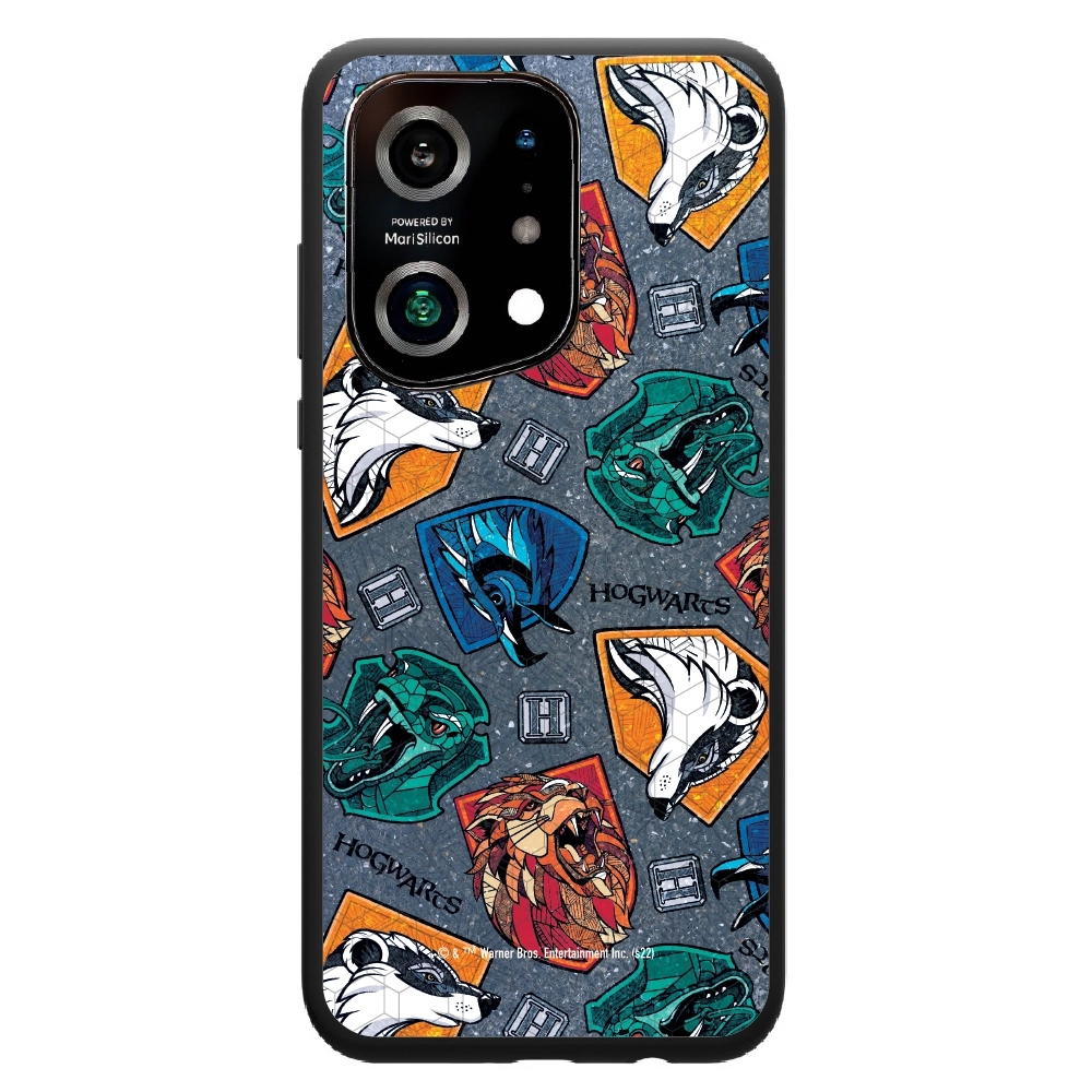 Harry Potter houses 2