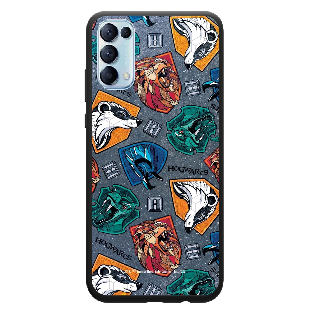 Harry Potter houses 2