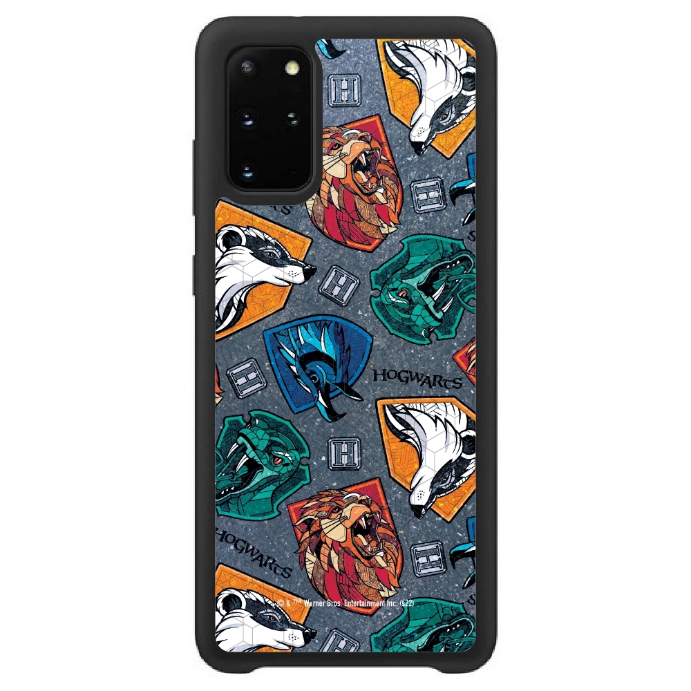 Harry Potter houses 2