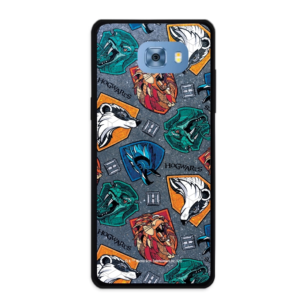 Harry Potter houses 2