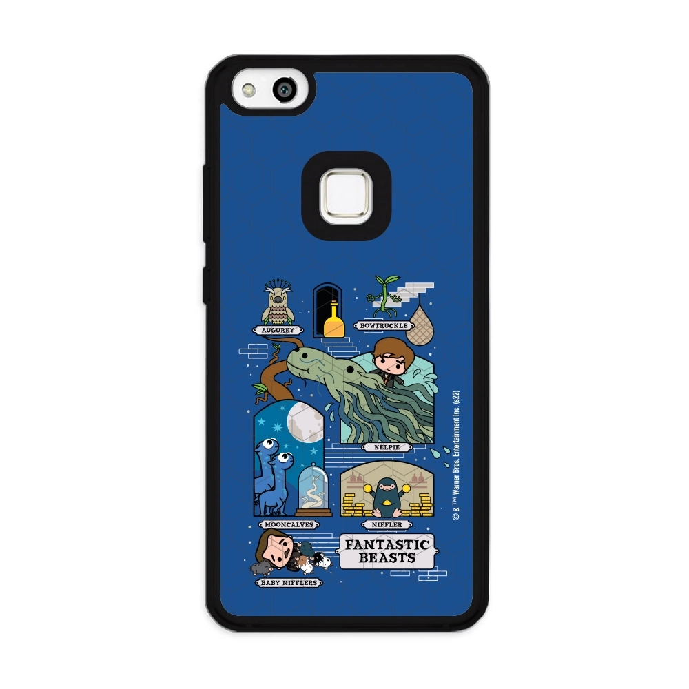 Fantastic Beasts adventures...