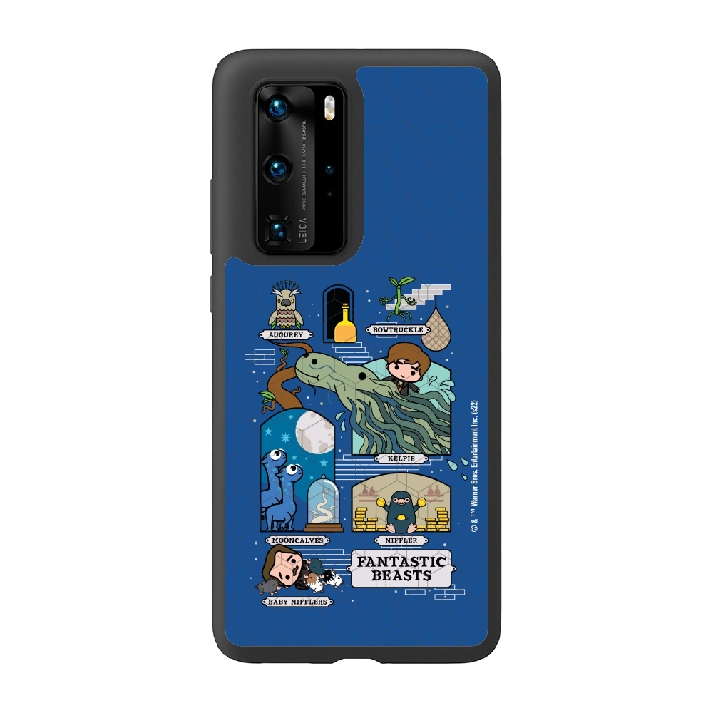 Fantastic Beasts adventures...