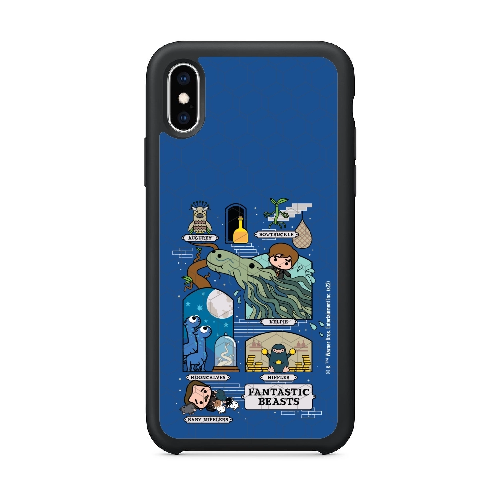 Fantastic Beasts adventures...