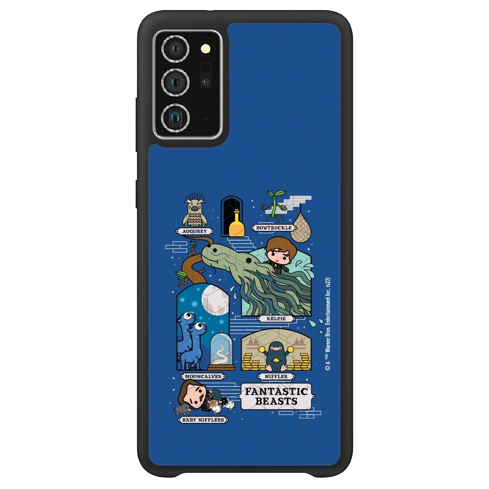 Fantastic Beasts adventures...