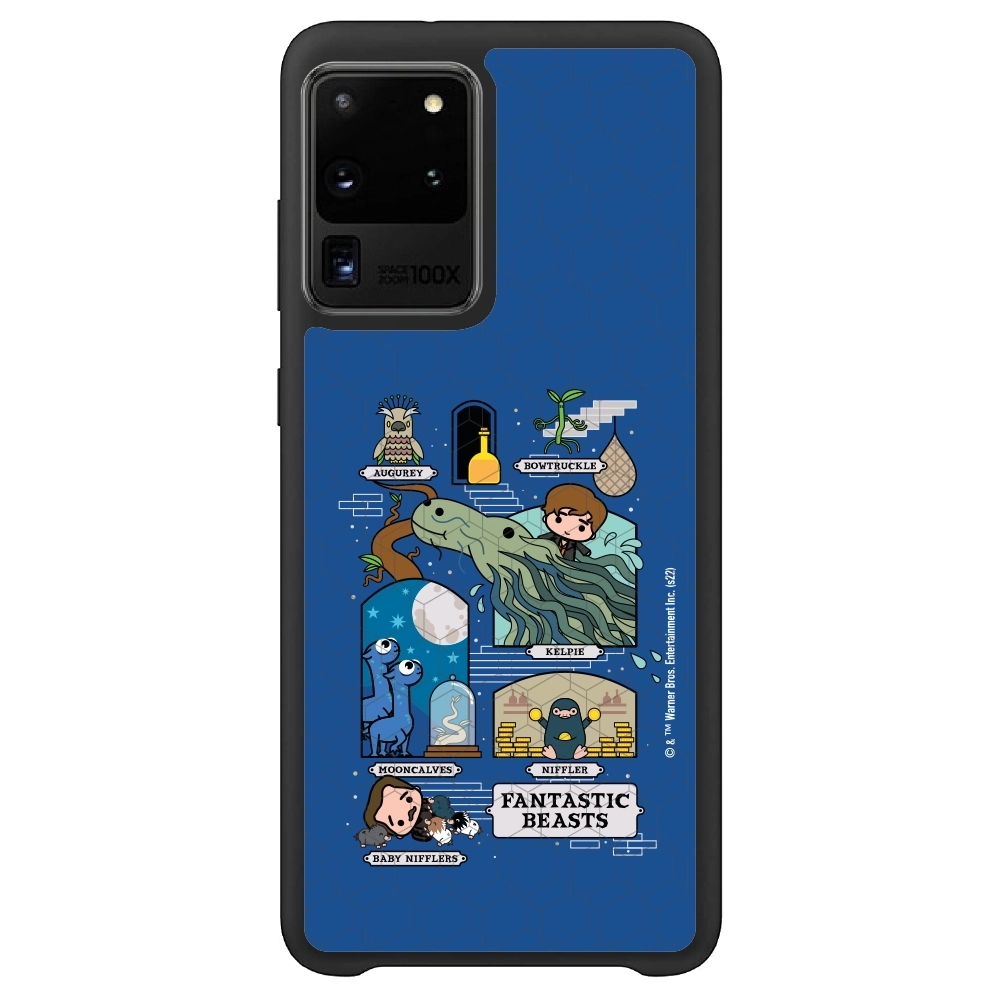 Fantastic Beasts adventures...