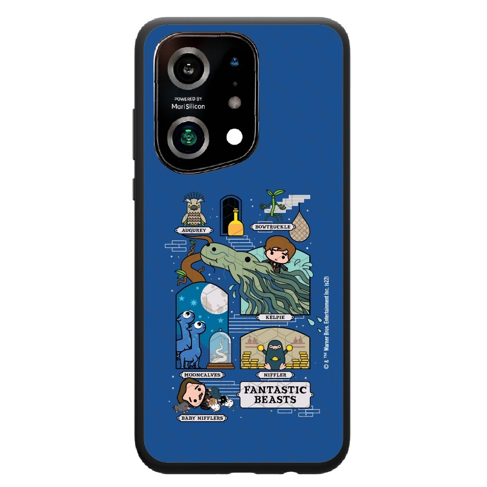 Fantastic Beasts adventures...