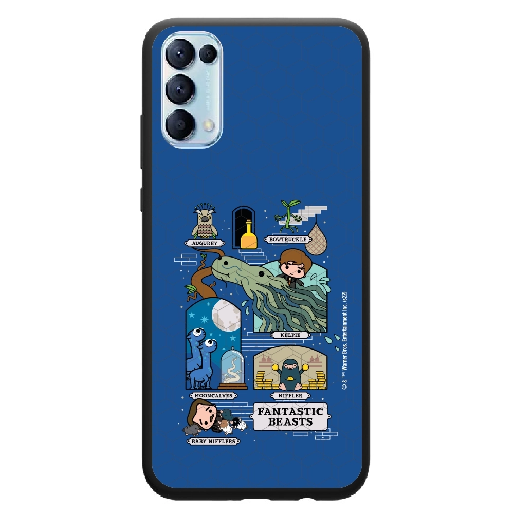 Fantastic Beasts adventures...