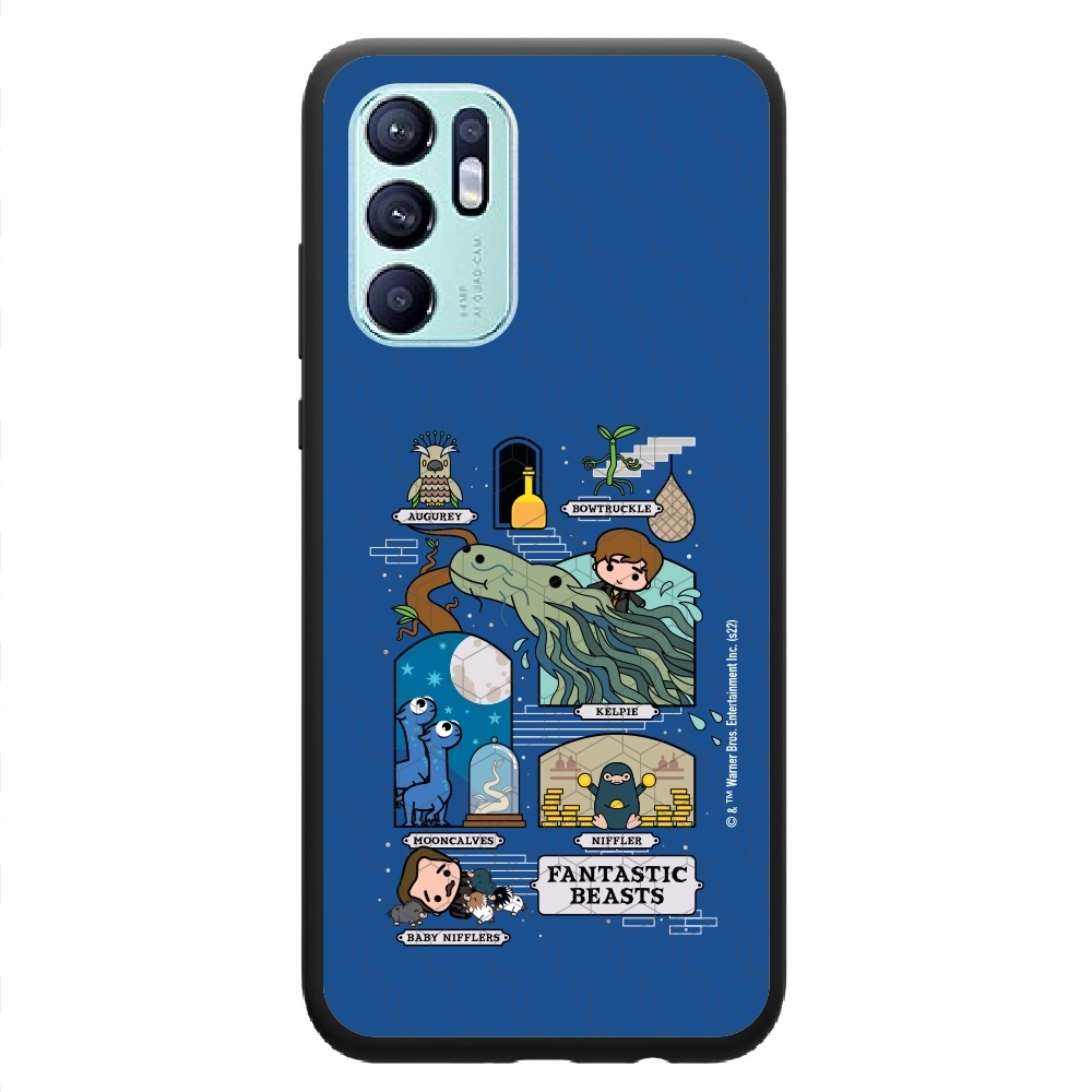 Fantastic Beasts adventures...