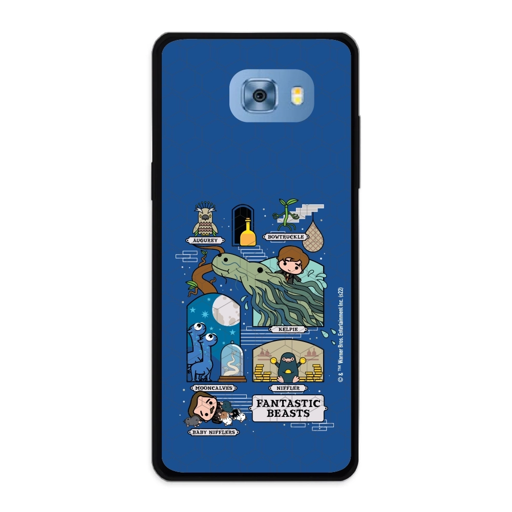 Fantastic Beasts adventures...