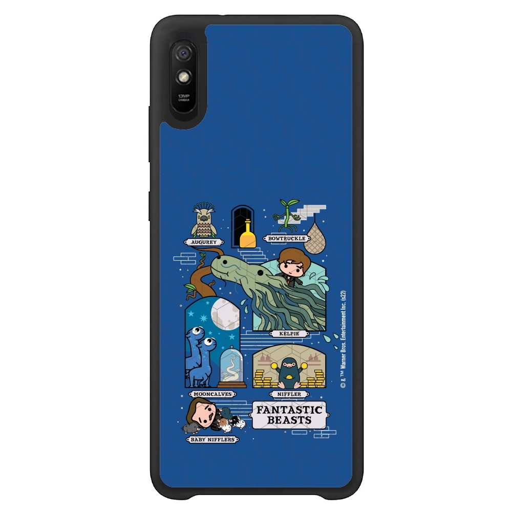 Fantastic Beasts adventures...