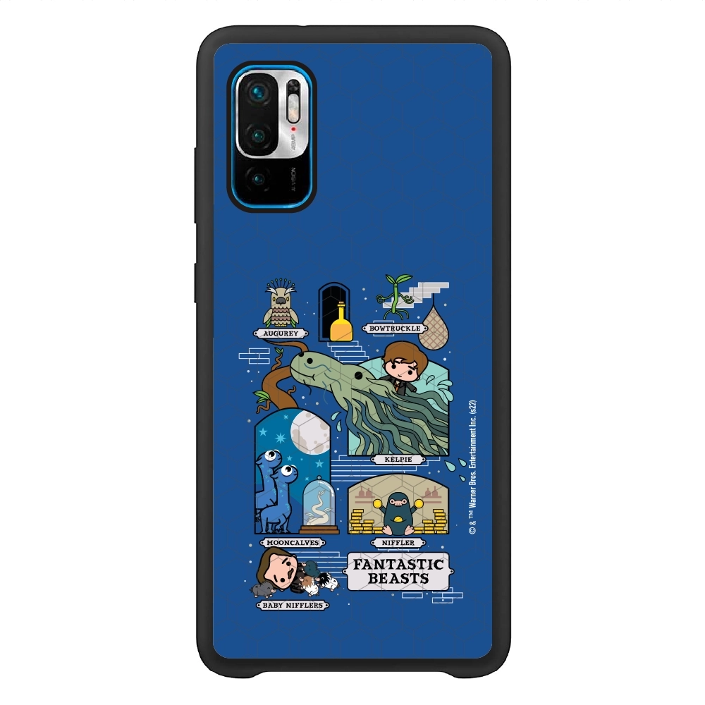 Fantastic Beasts adventures...